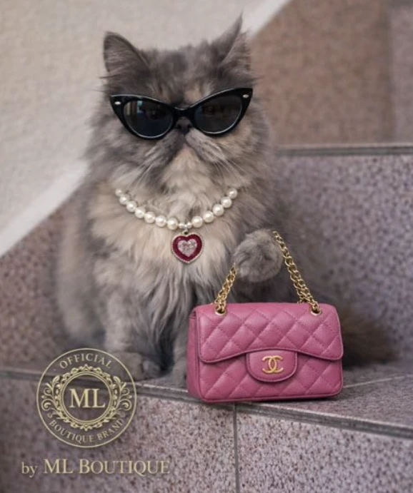 ML Boutique
